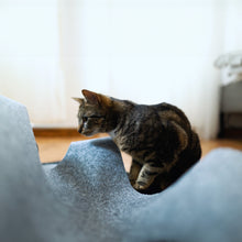 Laden Sie das Bild in den Galerie-Viewer, CatMountain® Oberteppich - Das perfekte Upgrade für die Spiellandschaft deiner Katze (ohne isolierende und rutschfeste Untermatte)